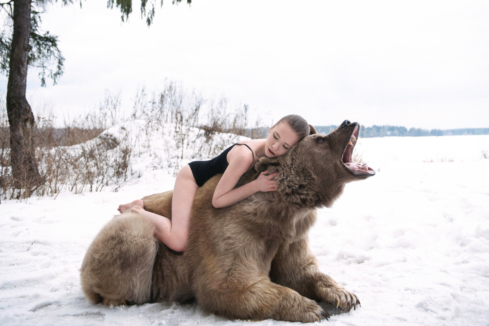 bosque, niña, invierno, oso, rugido