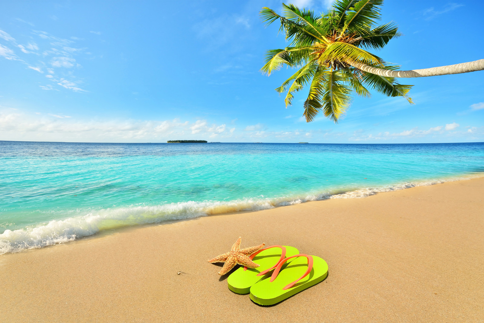 zomer, kust, strand, zee, zand, tropisch, palmen, paradijs