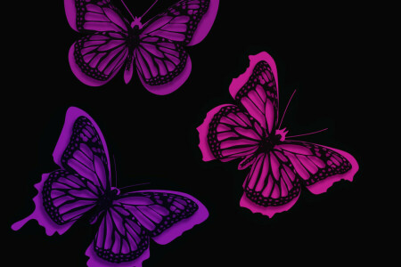 background, BUTTERFLY, line, moth, paint, pattern