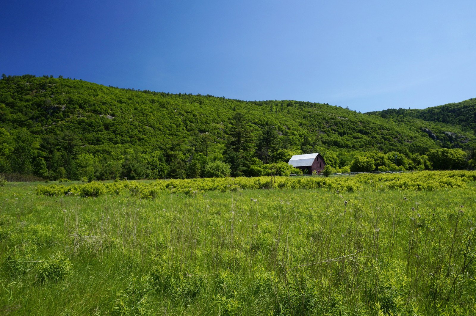 gress, hus, trær, Canada, grønt, felt, bakker, Gatineau Park