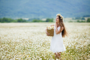 panier, cheveux bruns, camomille, champ, fleurs, fille