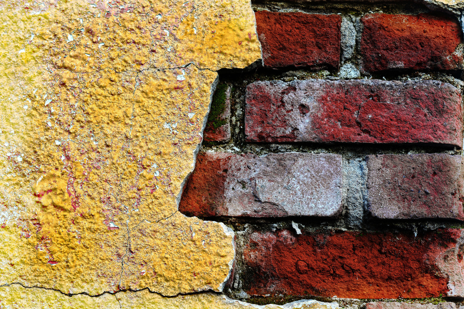 pared, ladrillos, textura, color