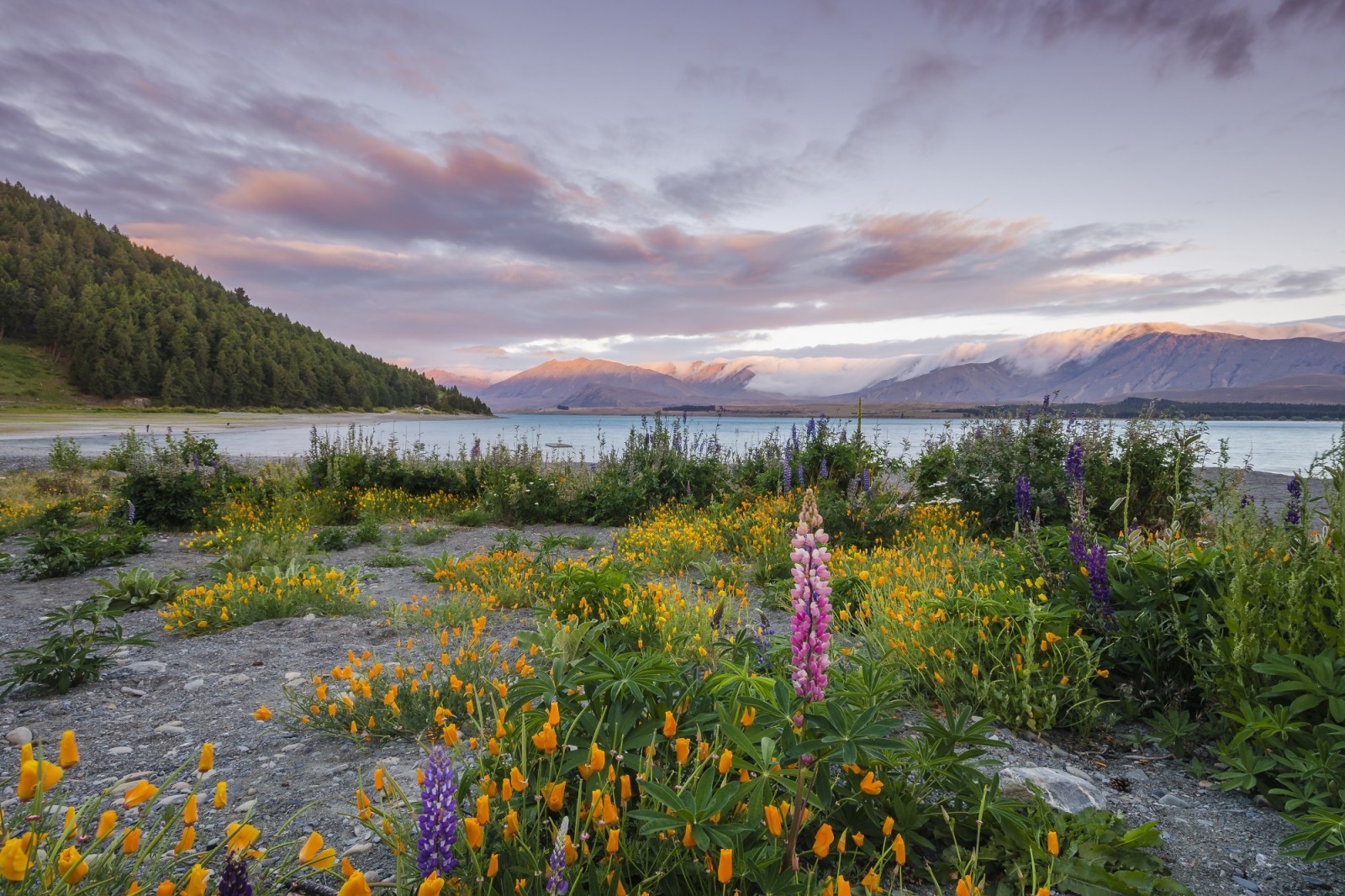 herbe, Le ciel, Lac, fleurs, des nuages, montagnes