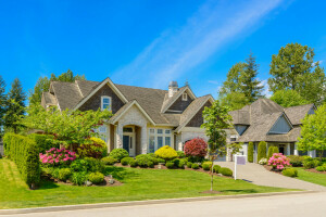 blue, flowers, grass, greens, house, lawn, Mansion, road