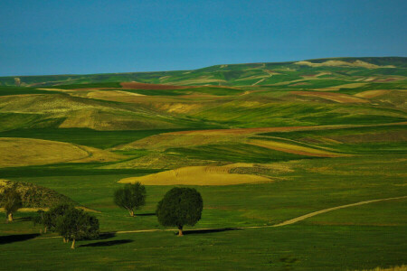 field, hills, the sky, trees