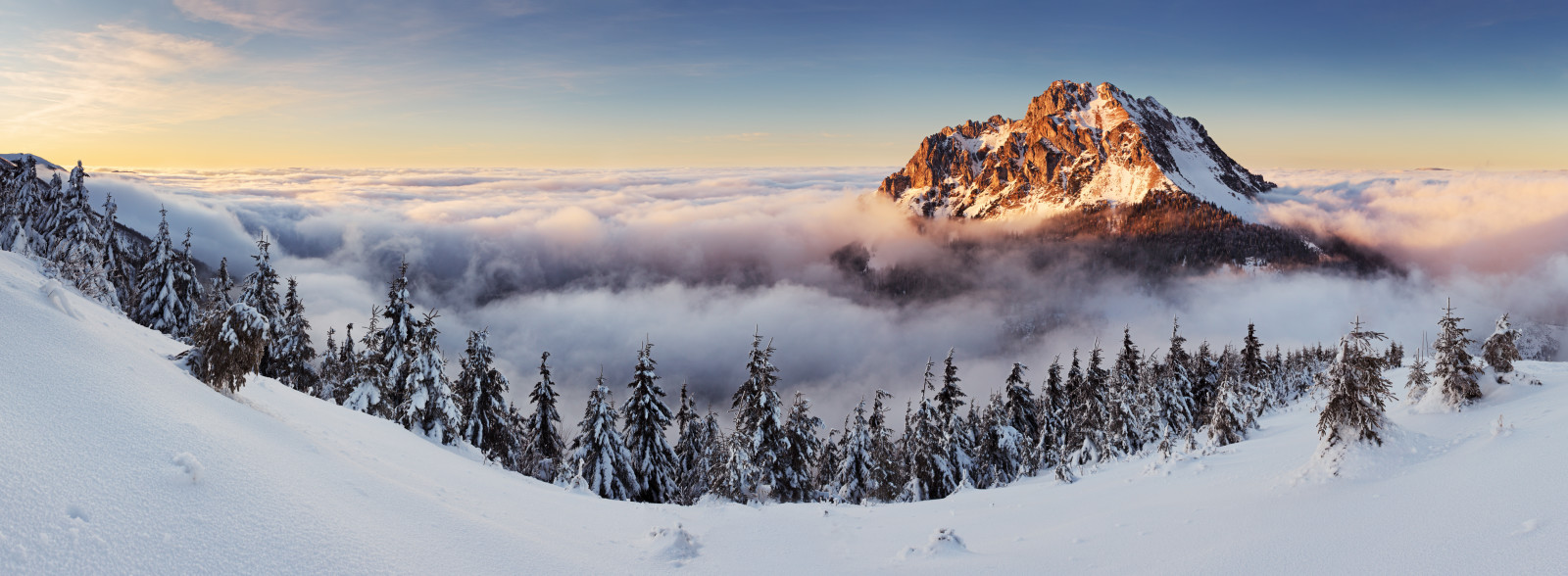 Natur, Berg, Landschaft, Bäume, Panorama, Slowakei