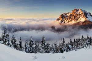 krajina, vrch, príroda, panoráma, Slovensko, stromy