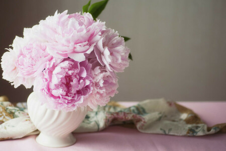 flowers, peonies, pink, vase