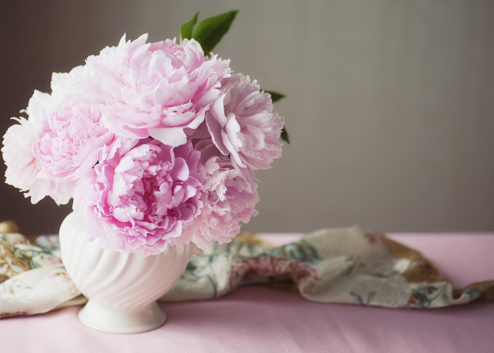 rosado, peonías, flores, florero