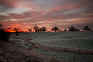 field, landscape, night, the sky