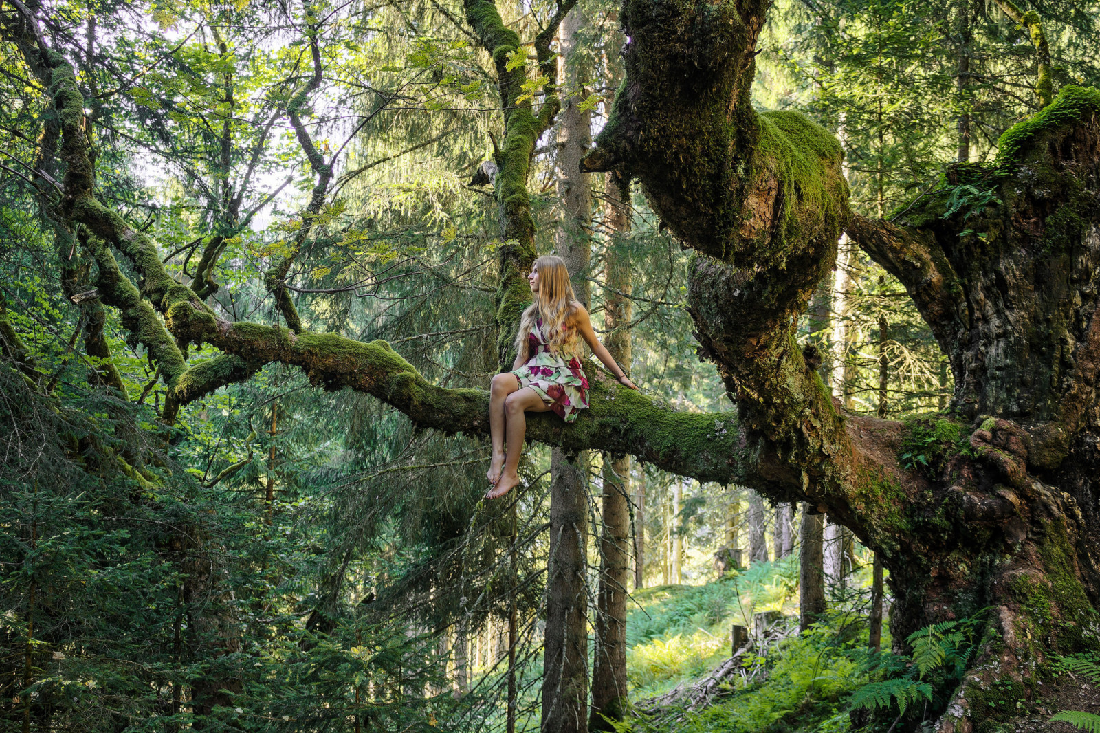 albero, foresta, ragazza