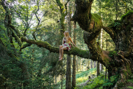 forêt, fille, arbre