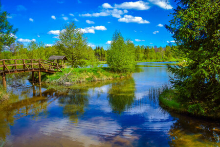 Bro, moln, skog, lusthus, gräs, ö, flod, himmelen