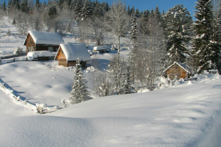 huis, helling, sneeuw, de lucht, bomen, winter