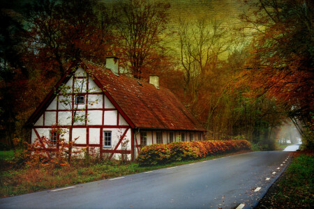 autumn, canvas, house, road, trees