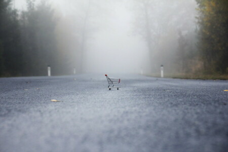 nebbia, strada, passeggino