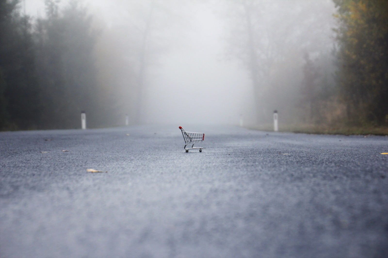 road, fog, stroller