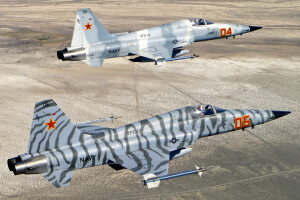 "Freedom Fighter", Fighter, flight, Multipurpose, Northrop F-5, Tiger II