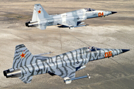 "Frihetskjemper", Jagerfly, flygning, Multipurpose, Northrop F-5, Tiger II