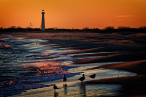 Berg, birds, Lighthouse, sea, sunset