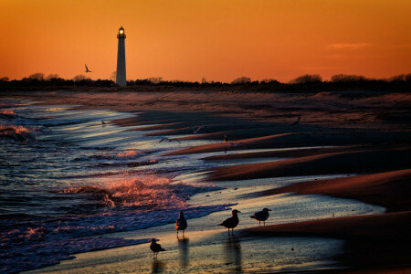 Berg, des oiseaux, Phare, mer, le coucher du soleil