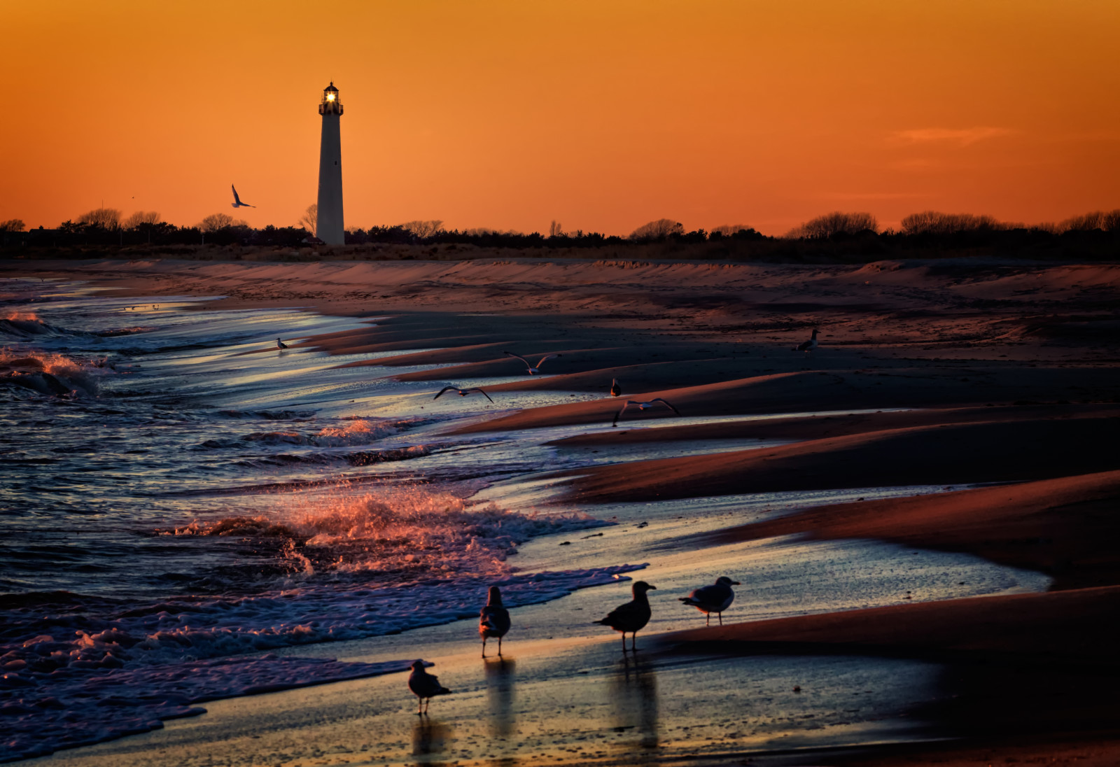 pôr do sol, mar, Farol, pássaros, Berg