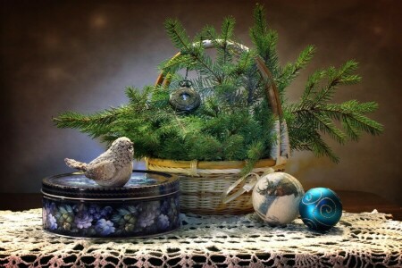 bird, box, spruce, toys