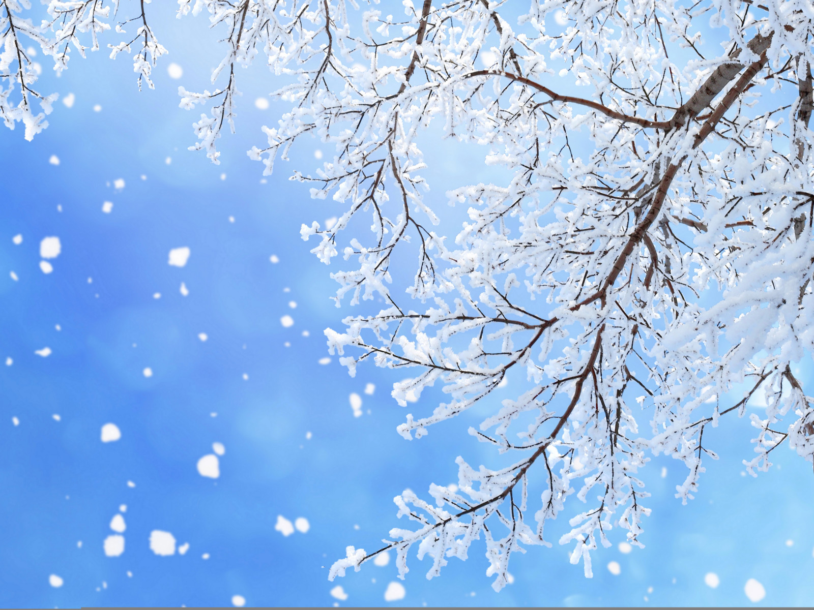 snow, snowflakes, blue, branches, glare, the sky, winter