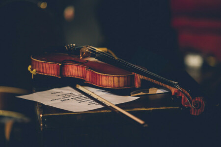 Musica, violino