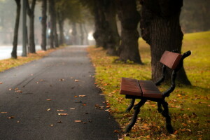 Autumn bench, street, the city