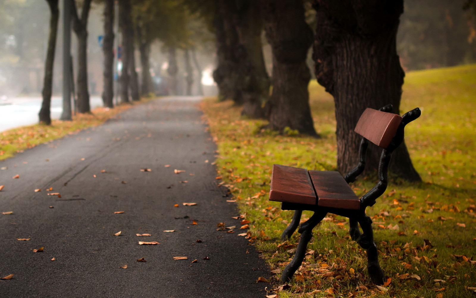 la ciudad, calle, Banco de otoño