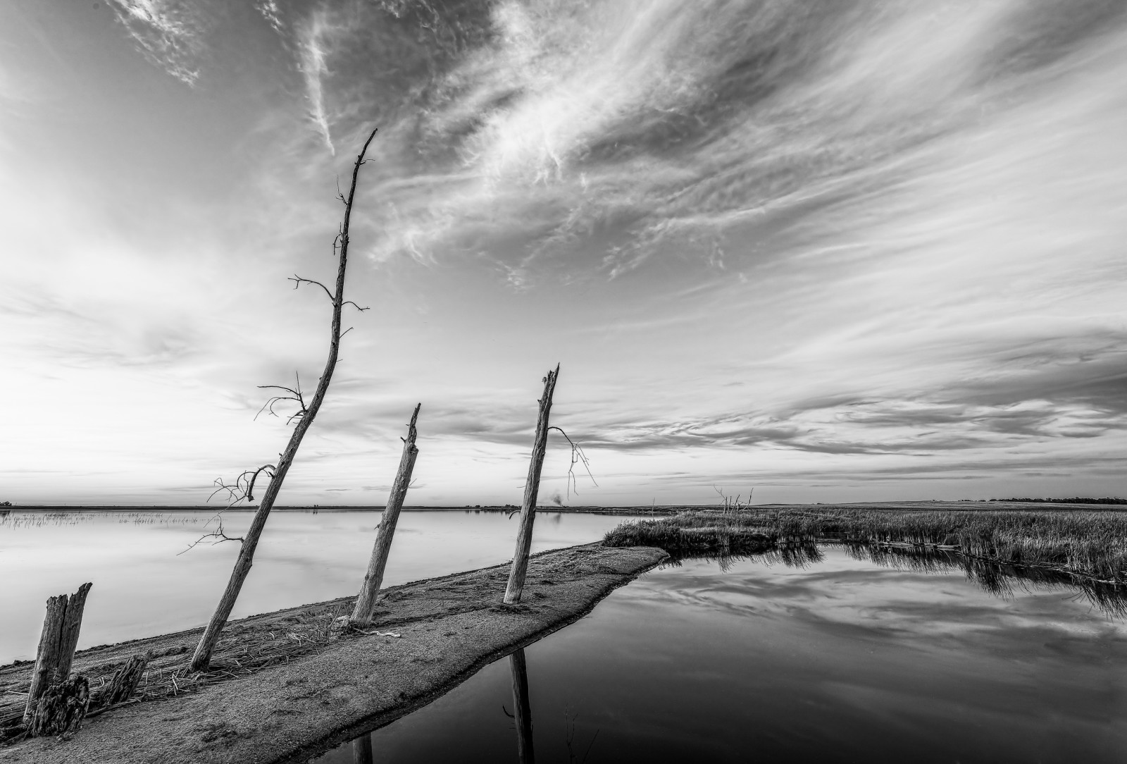 Contexte, rivière, des arbres