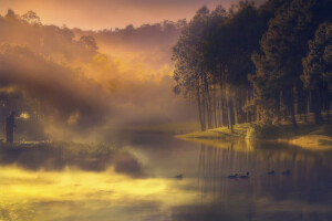 duck, fisherman, fog, haze, morning, river