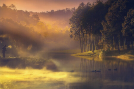 duck, fisherman, fog, haze, morning, river