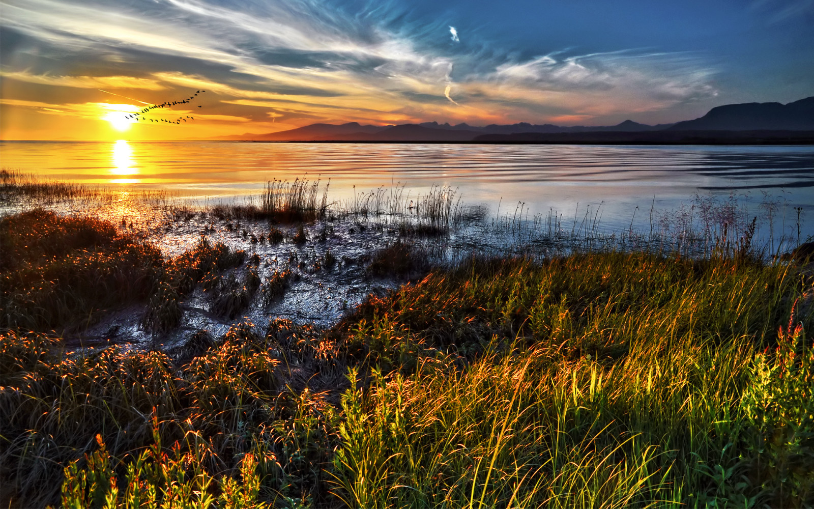 puesta de sol, Canadá, costa, una bandada de pájaros