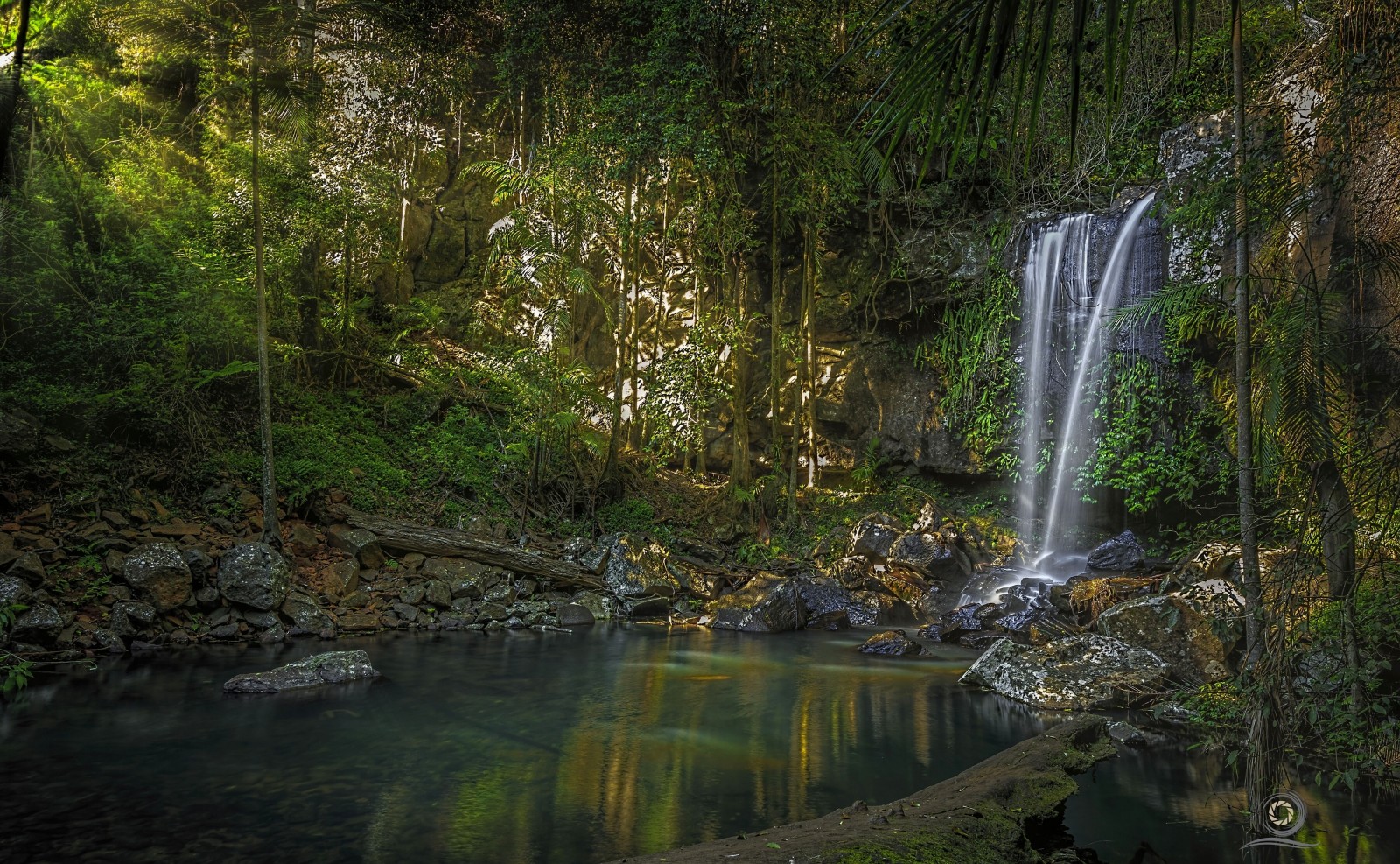 les, rieka, vodopád, Austrália, Queensland, QLD, Curtis Falls, Národný park Tamborine