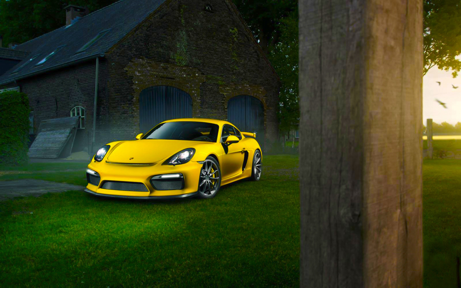 herbe, été, supercar, Jaune, Couleur, Porsche, De face, GT4