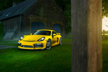 Cayman, Couleur, De face, herbe, GT4, Porsche, été, supercar