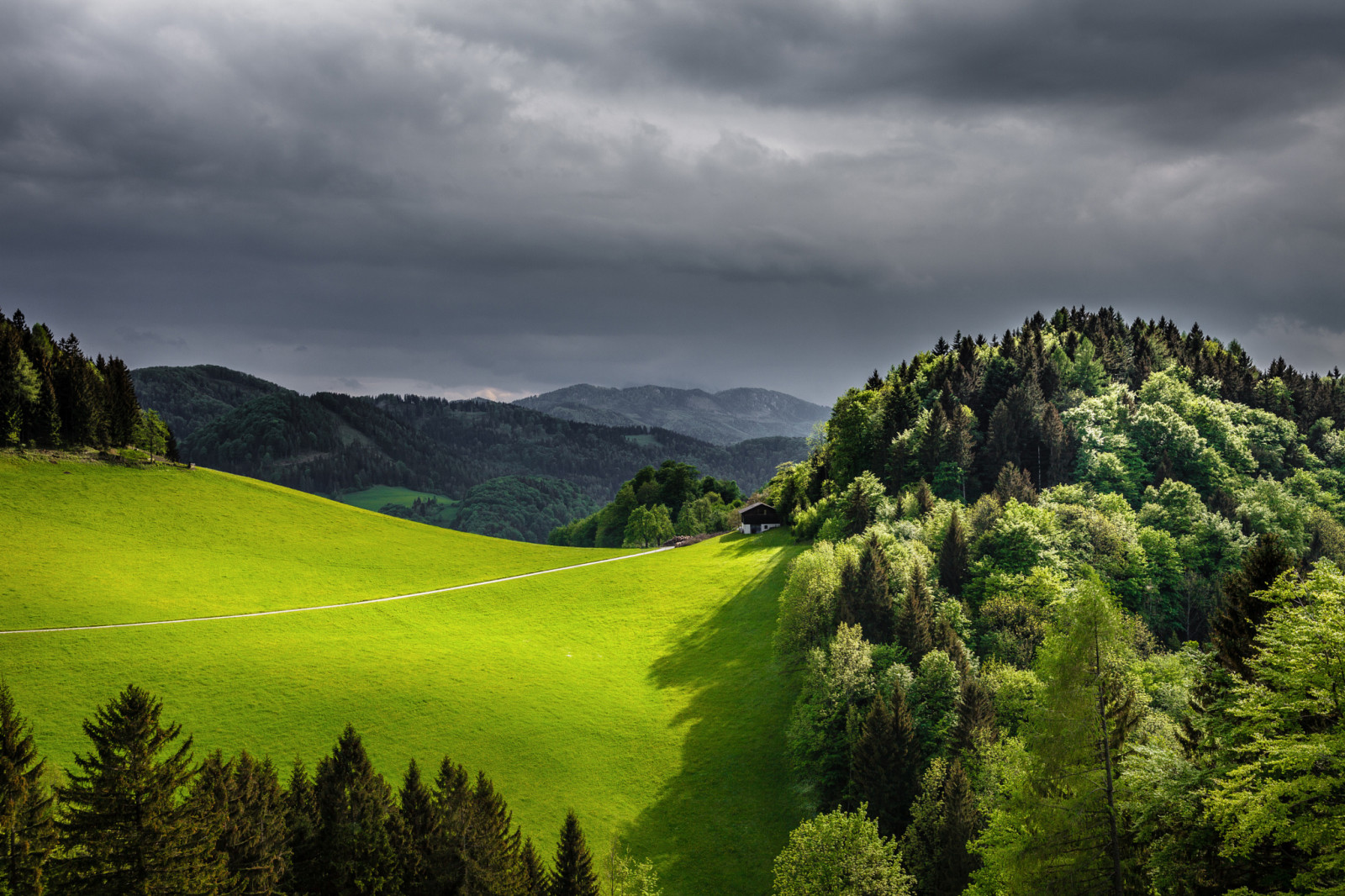 forêt, la nature, Le ciel, gris, champ, printemps, des nuages, montagnes