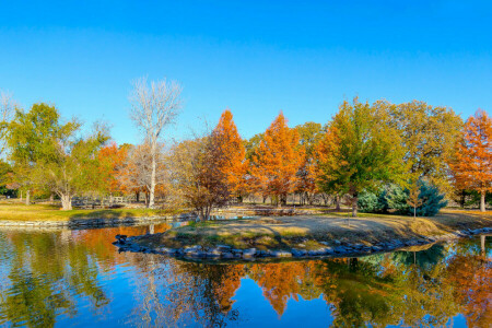 karmínový podzim, Clark Gardens, listy, rybník, Texas, stromy, USA