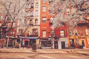 appartamenti, edificio, New York, I negozi, alberi