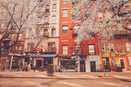 apartments, building, New York, stores, trees