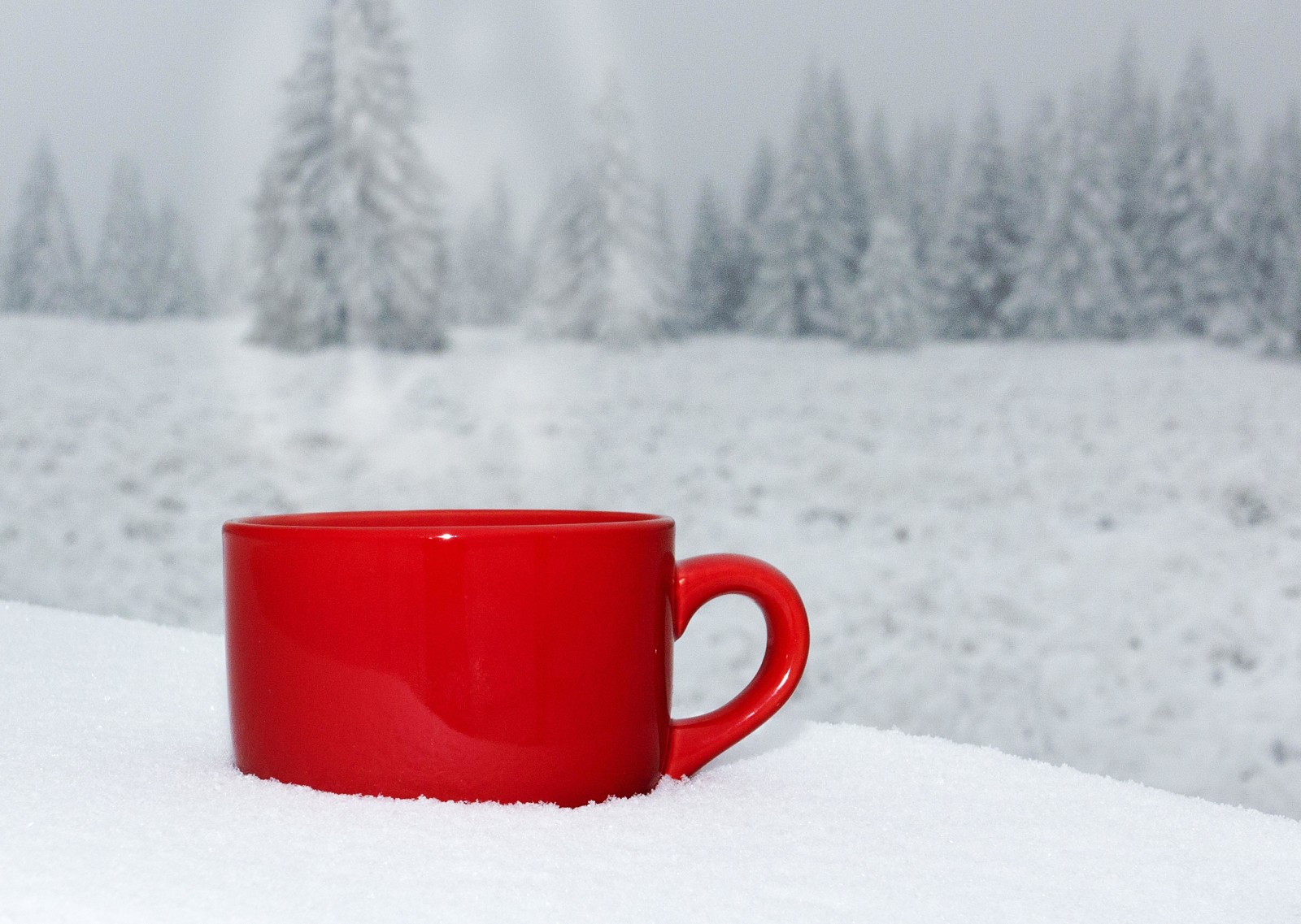 neige, la nature, hiver, paysage, café, tasse