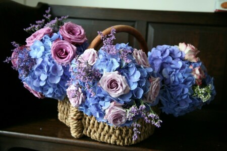 mand, bloemen, hortensia, rozen