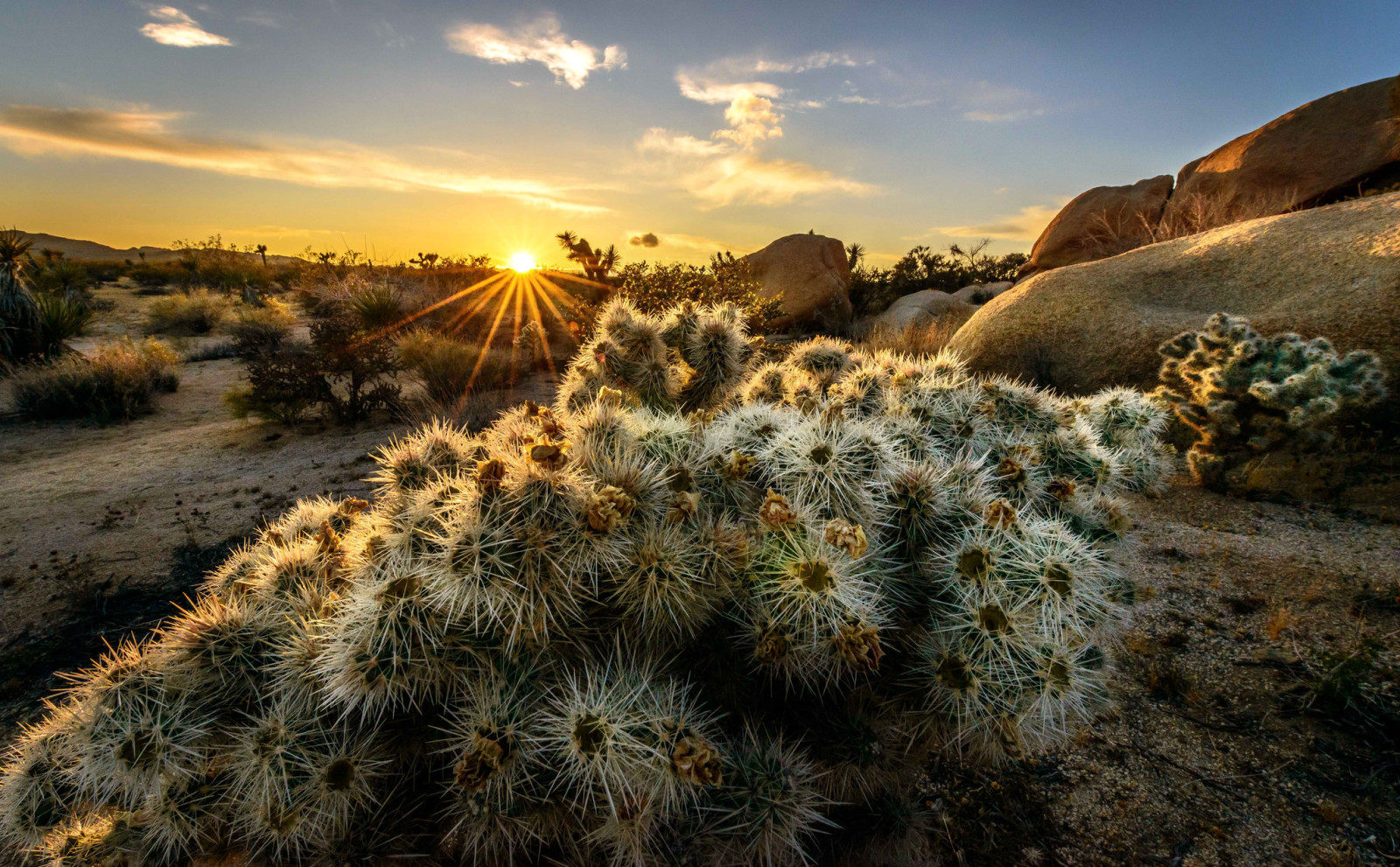 puesta de sol, arboles, montañas, Rayos, Estados Unidos, el sol, California