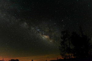 night, stars, the milky way, trees