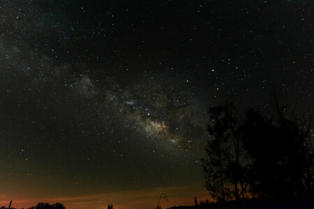 notte, stelle, la via Lattea, alberi