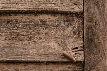 dirt, door, earth, wood