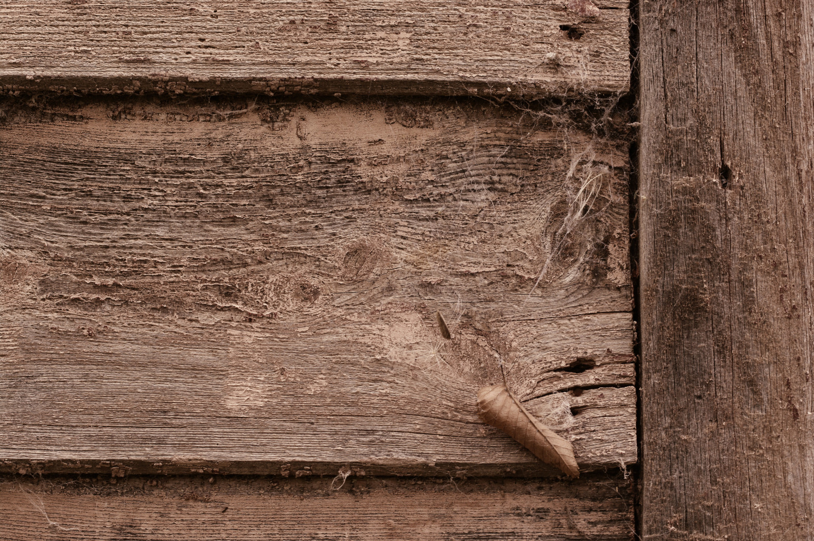 bois, saleté, porte, Terre