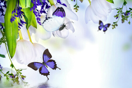 BUTTERFLY, collage, flowers, plant, water